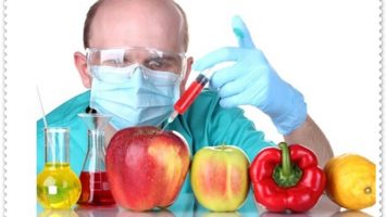 Gıda Mühendisi Nasıl Olunur? Gıda Mühendisi Maaşları