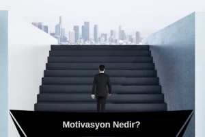 motivasyon nedir
