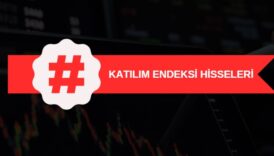 katılım endeksi hisseleri, dahil olan ve çıkarılan paylar