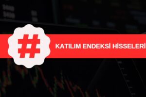 katılım endeksi hisseleri, dahil olan ve çıkarılan paylar