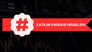 katılım endeksi hisseleri, dahil olan ve çıkarılan paylar