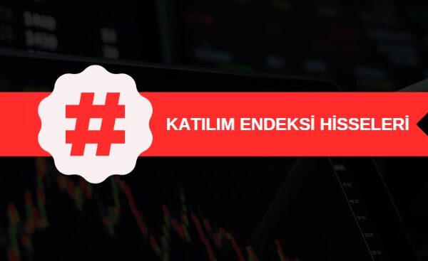 katılım endeksi hisseleri, dahil olan ve çıkarılan paylar