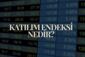 katılım endeksi nedir, hangi hisseler katılım endeksine girebilir