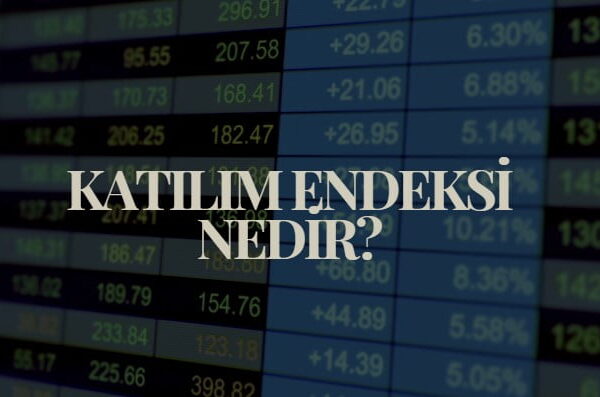 katılım endeksi nedir, hangi hisseler katılım endeksine girebilir