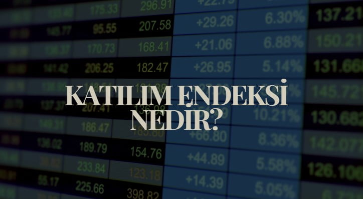 katılım endeksi nedir, hangi hisseler katılım endeksine girebilir