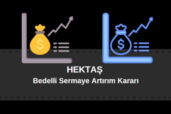 Hektaş bedelli sermaye artırımı kararı aldı. Süreç ile ilgili merak edilenler