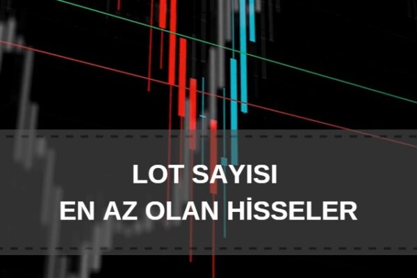 lot sayısı az olan hisseler, borsada işlem gören hisse sayısı az olan şirketler