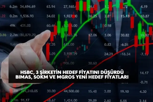 HSBC Bank, MGROS, BIMAS ve SOKM hedef fiyatlarını düşürdü