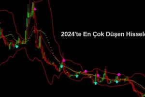 2024 yılı en çok kaybettiren hisseler