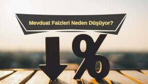 mevduat faizleri neden düşüyor